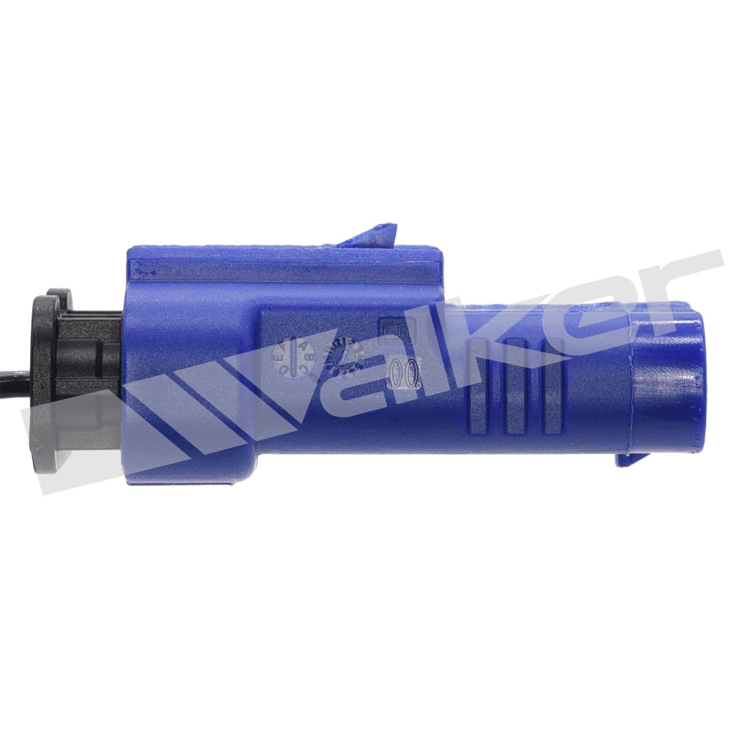 226-350-341033 - Image 2