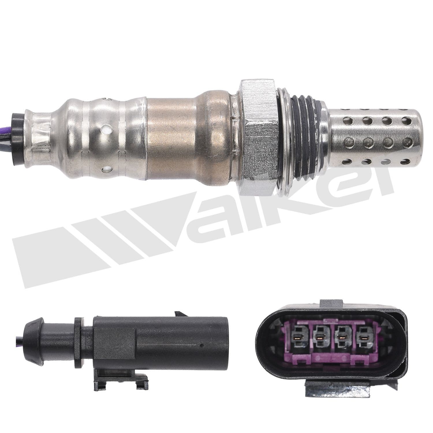 226-250-241222 - Image 4