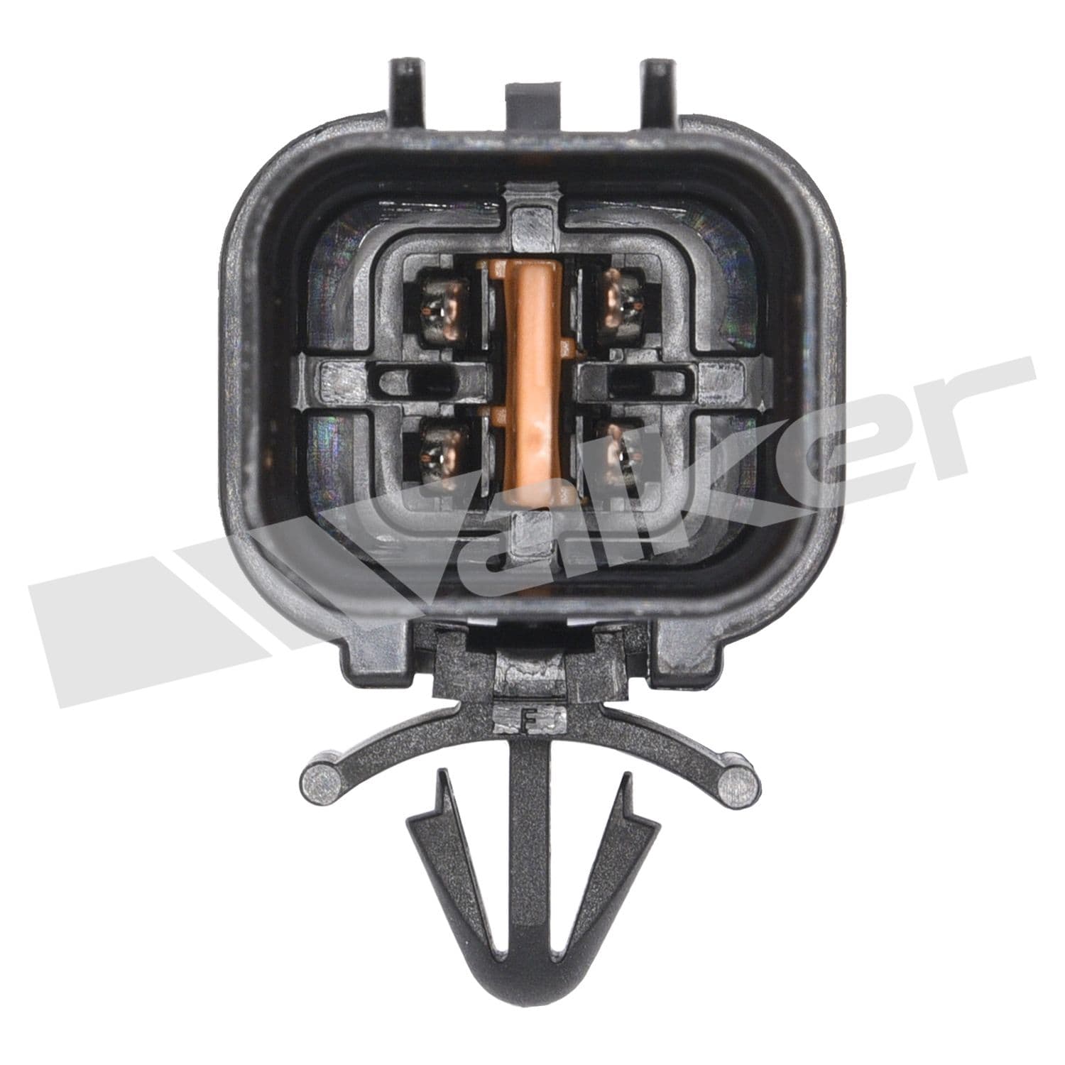 226-250-24383 - Image 3