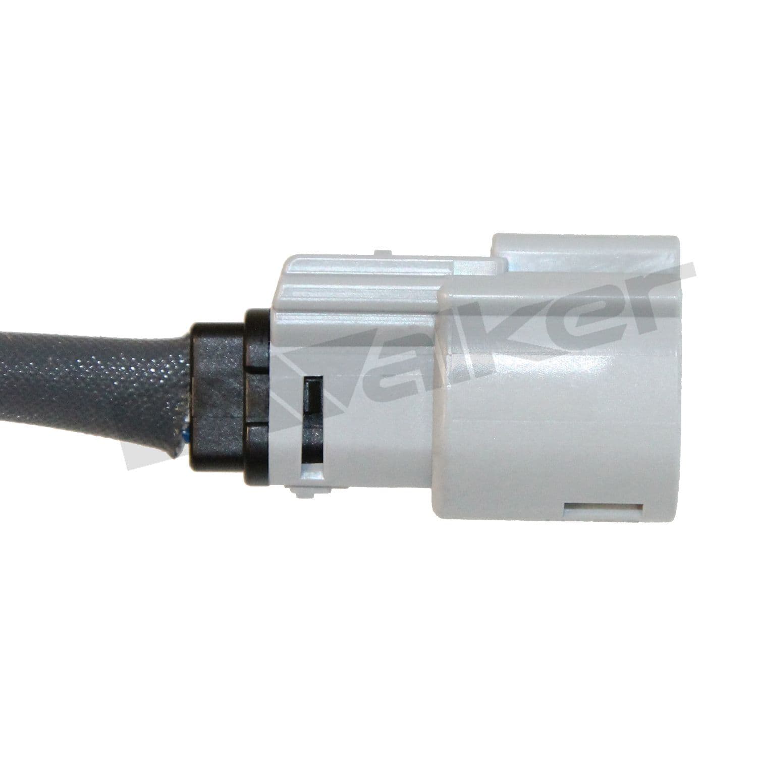 226-350-341059 - Image 4