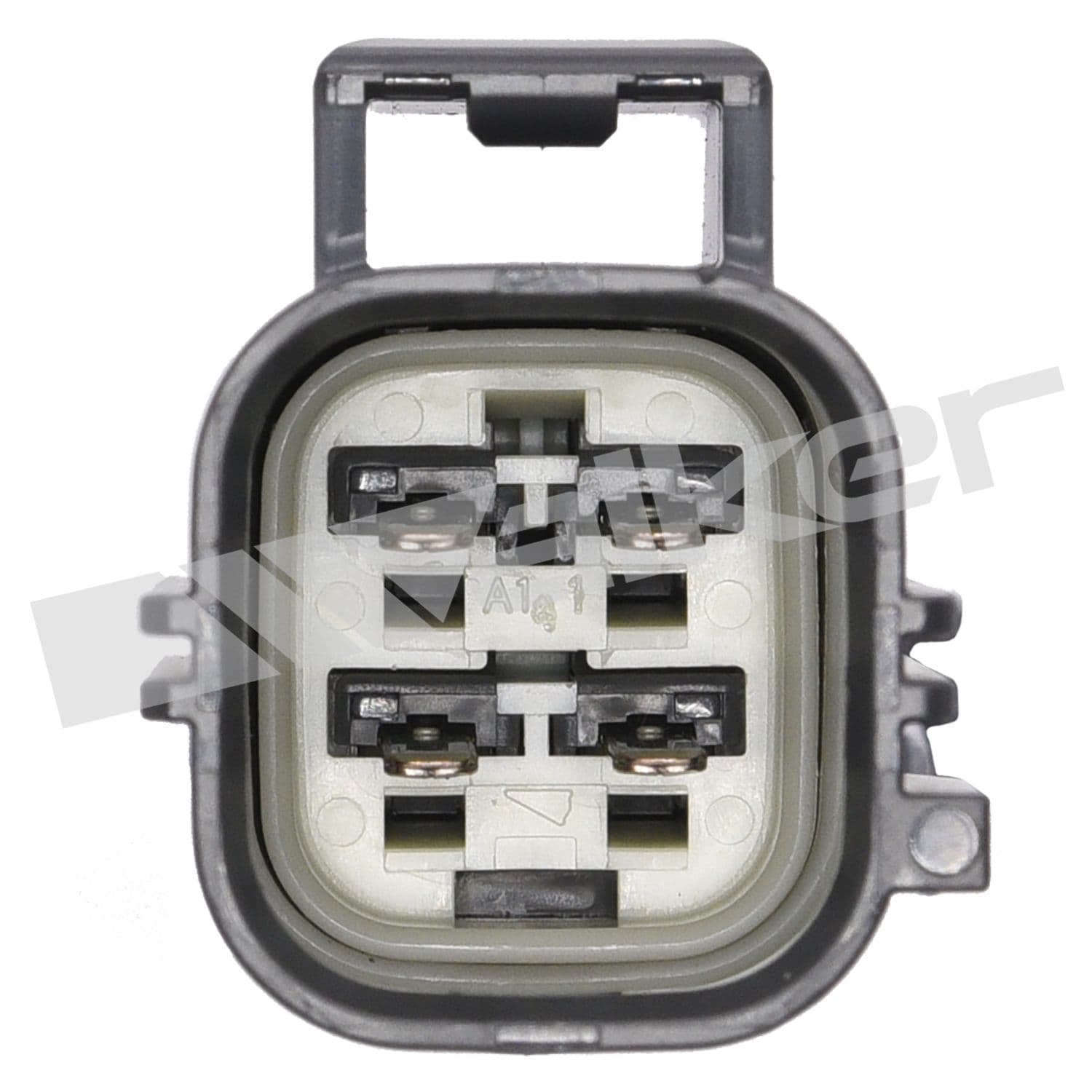 226-250-24482 - Image 3