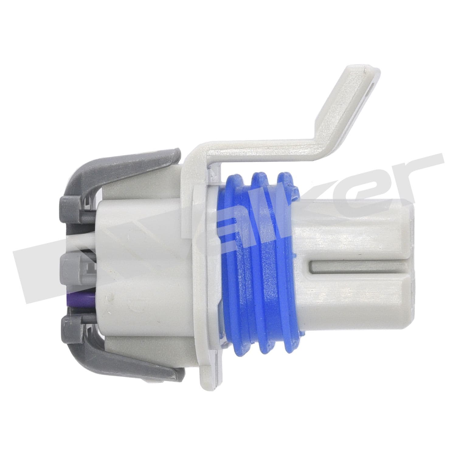 226-250-24745 - Image 2