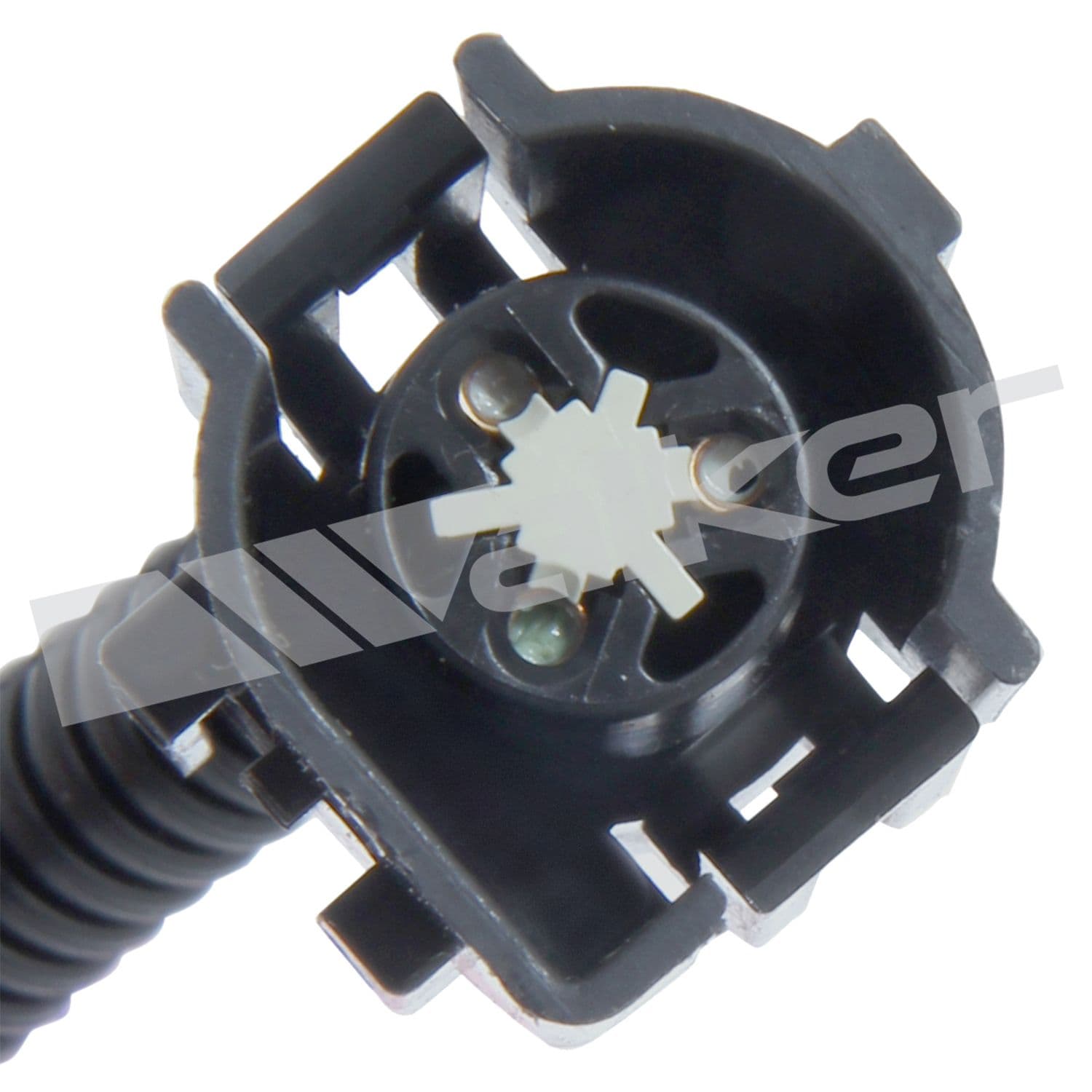 226-200-1081 - Image 4