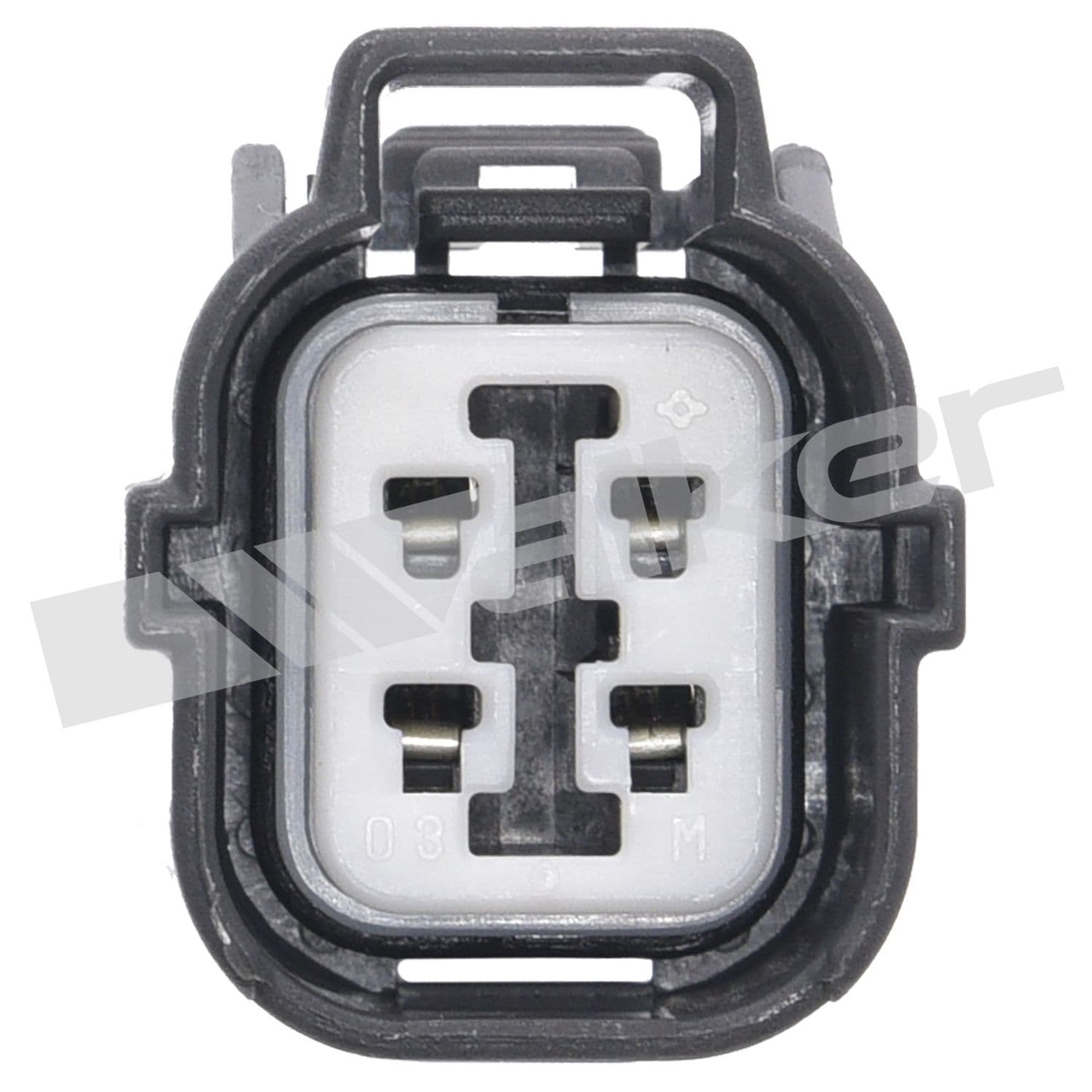 226-250-24764 - Image 4