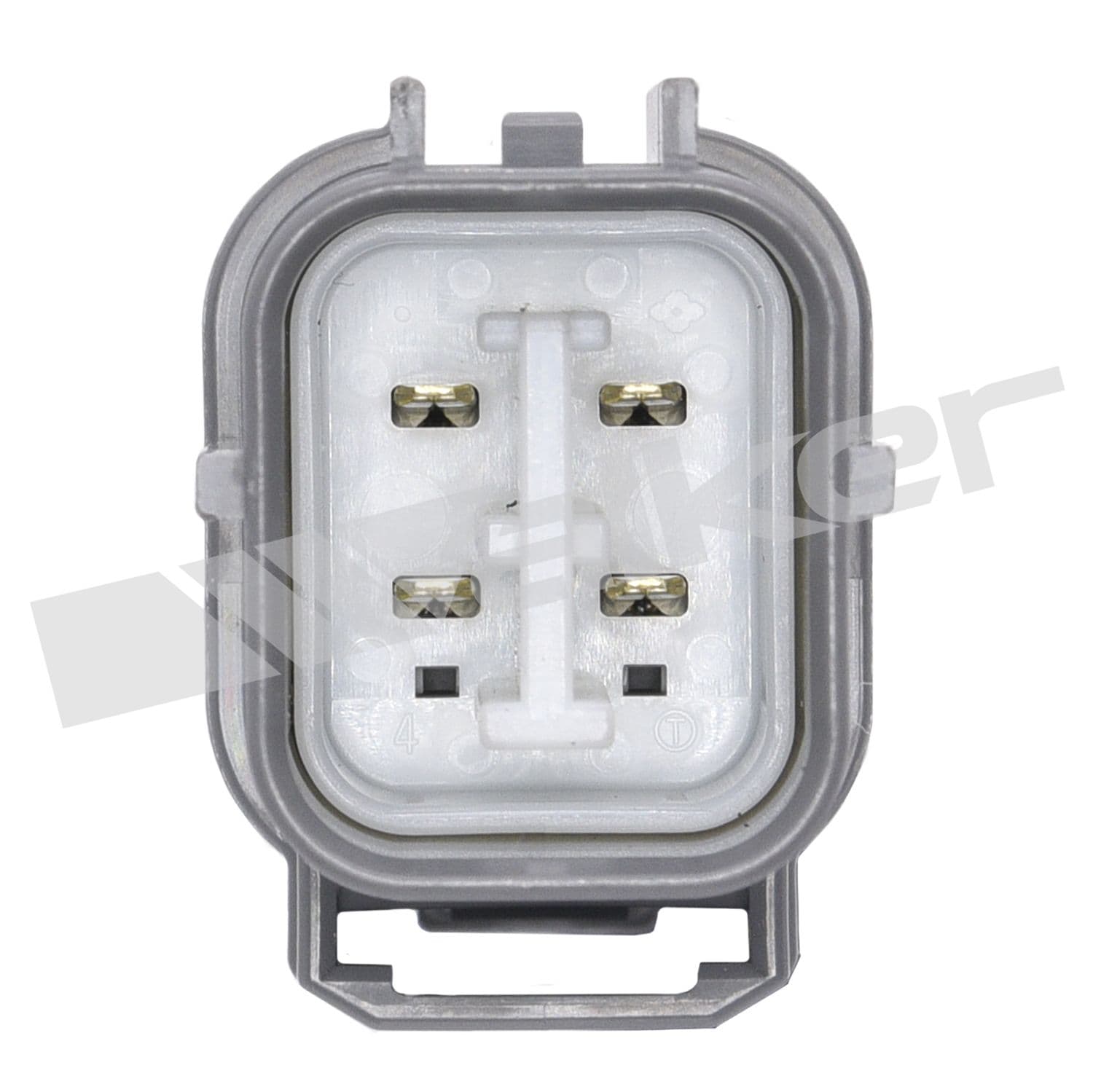 226-250-24391 - Image 4