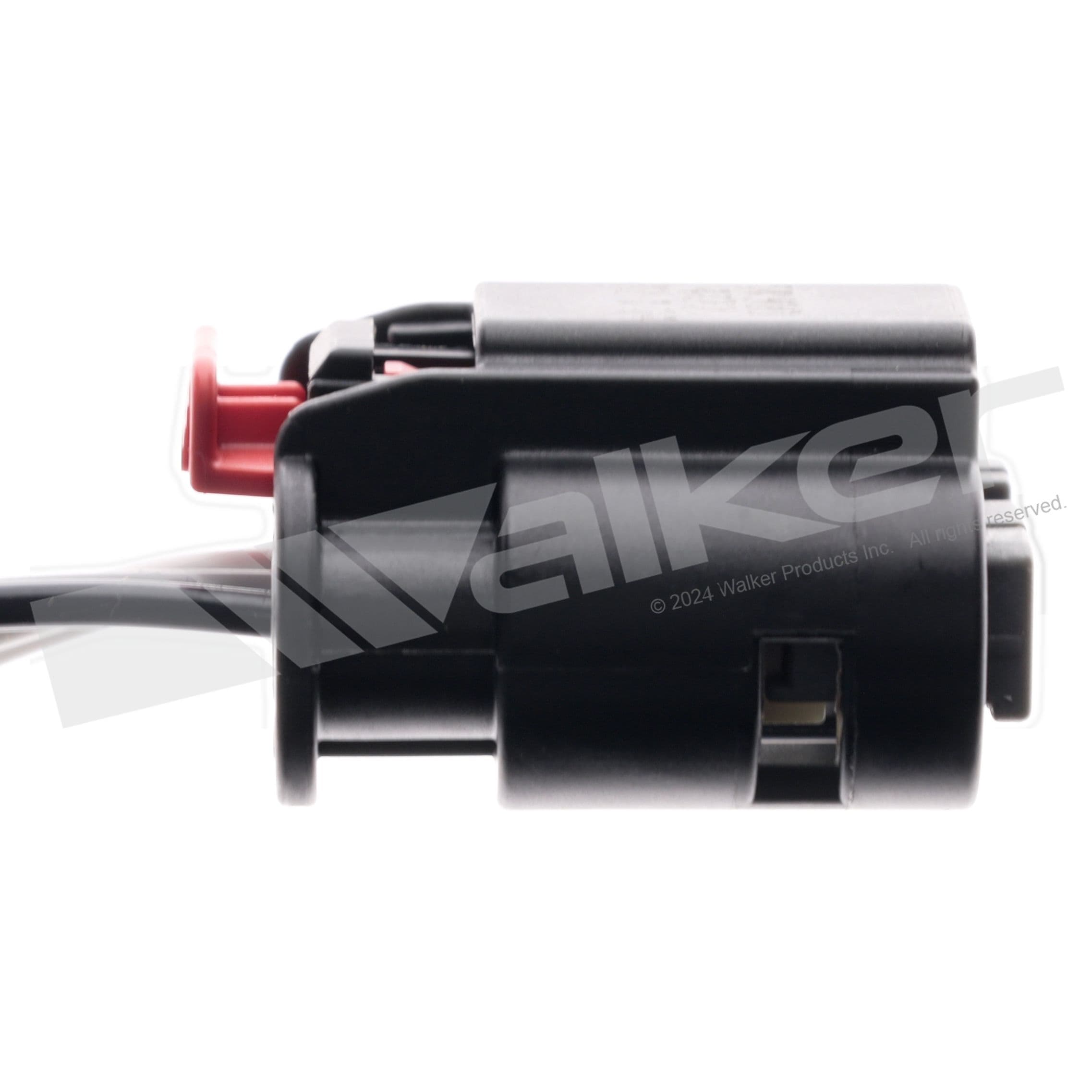 226-250-241331 - Image 4