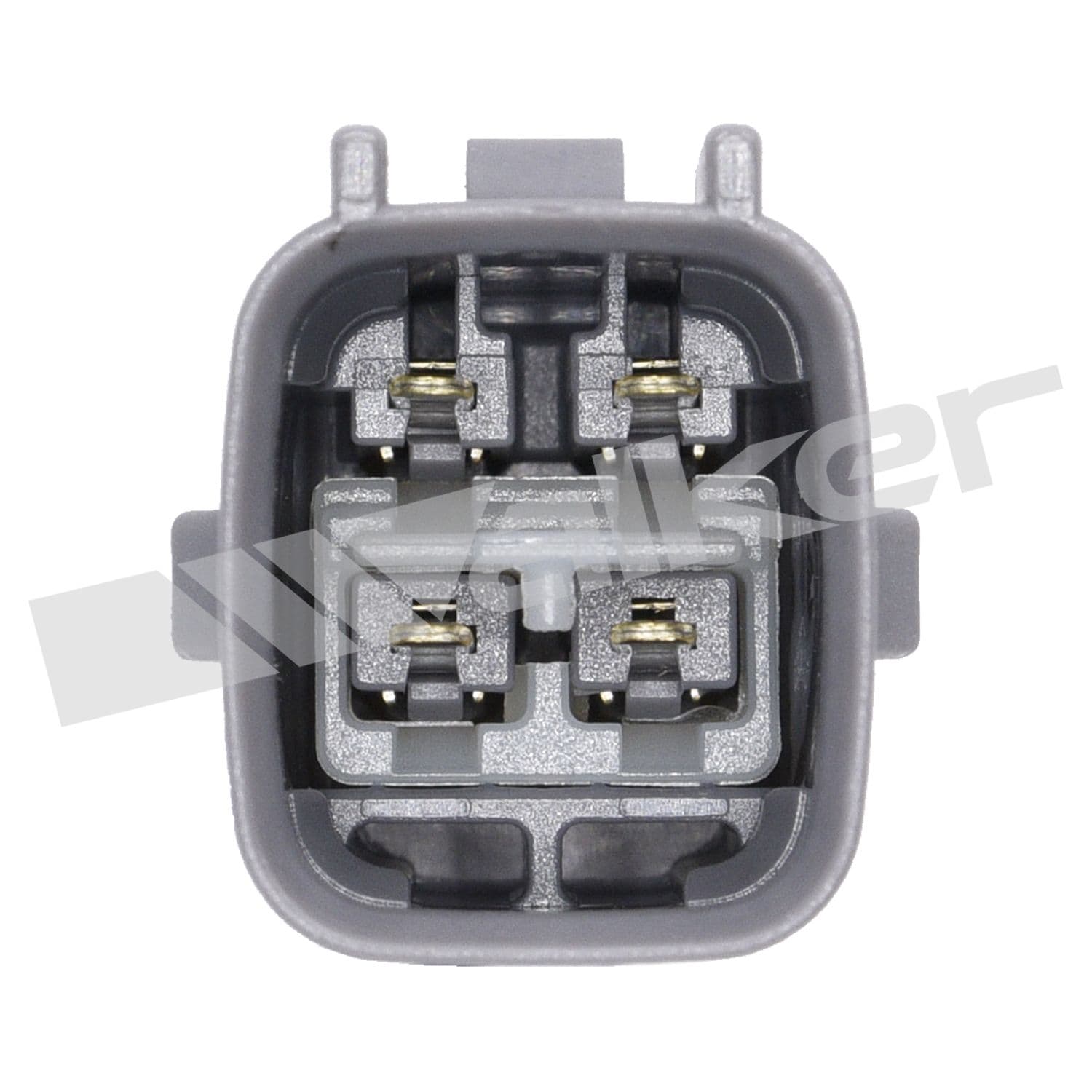 226-250-24169 - Image 2