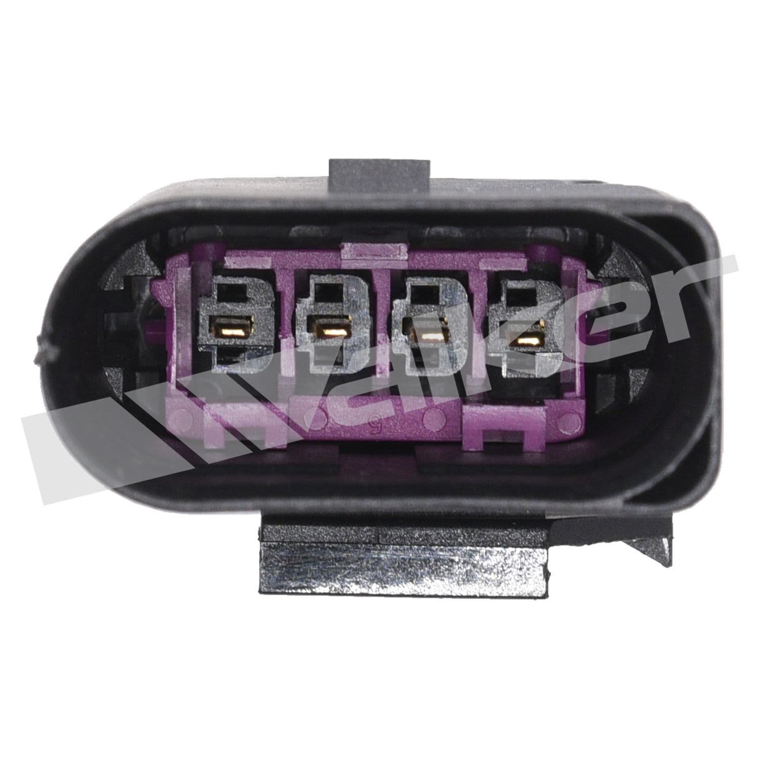 226-250-241280 - Image 2