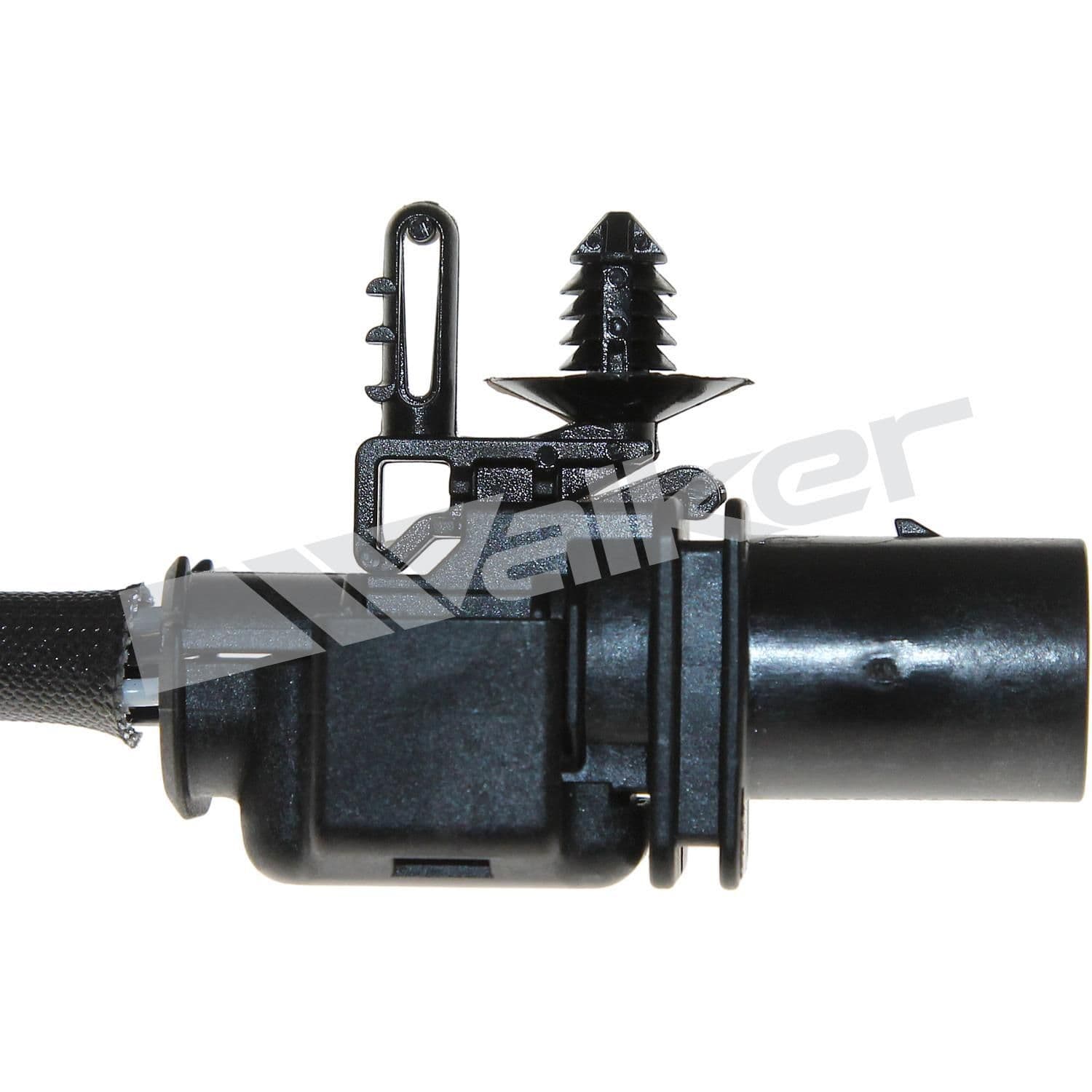 226-250-25036 - Image 2