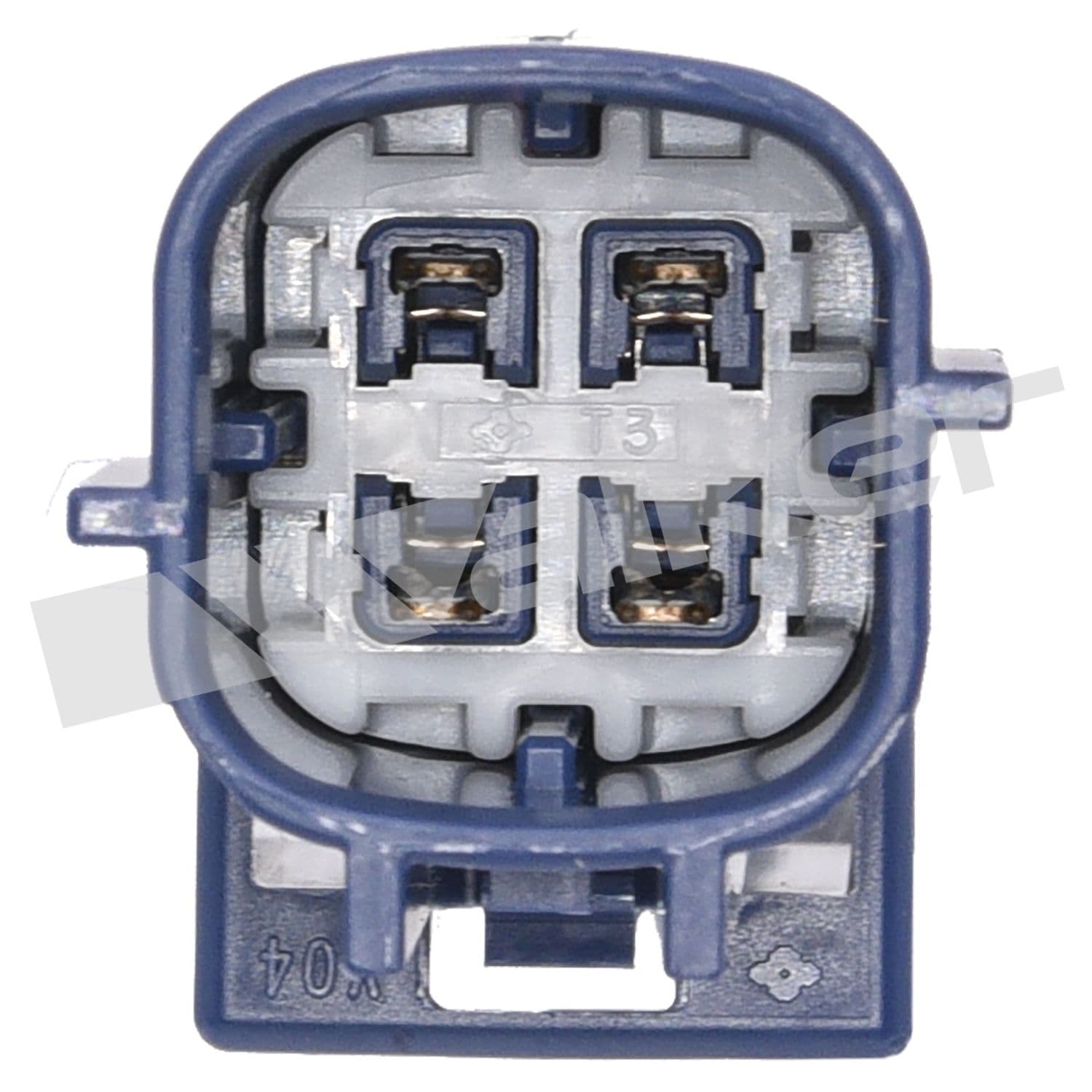 226-250-24456 - Image 3