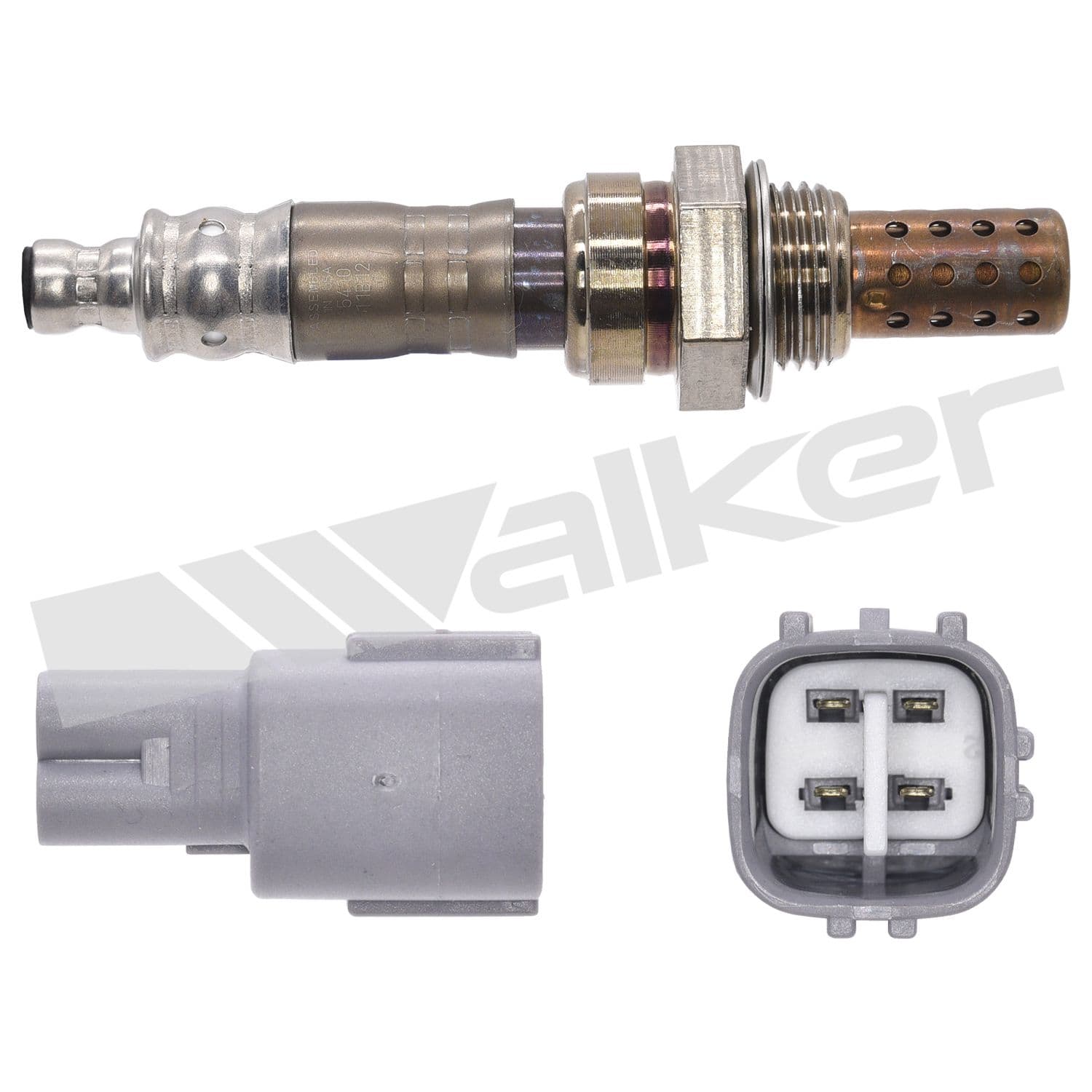 226-250-241281 - Image 2