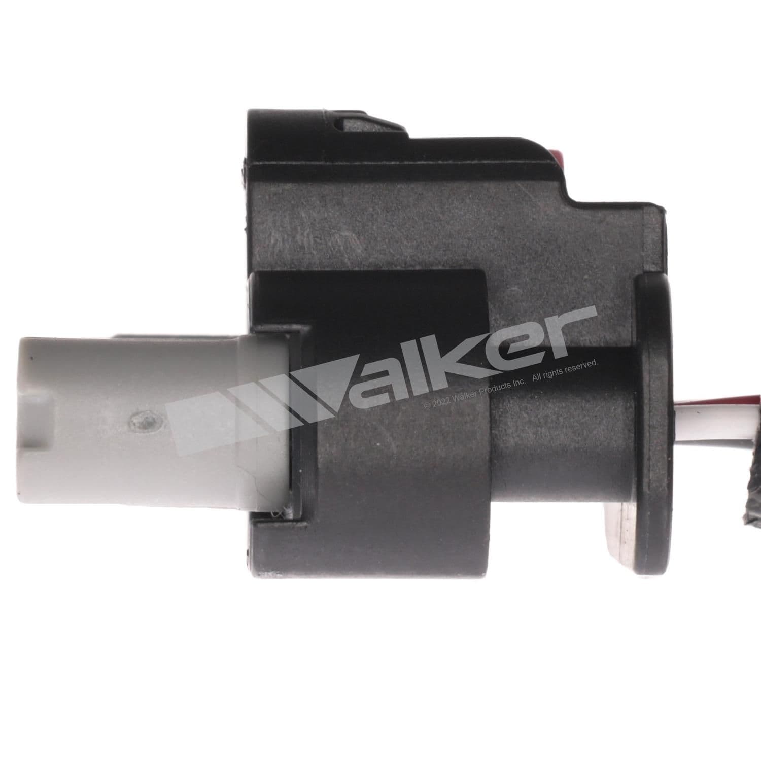 226-250-241306 - Image 3