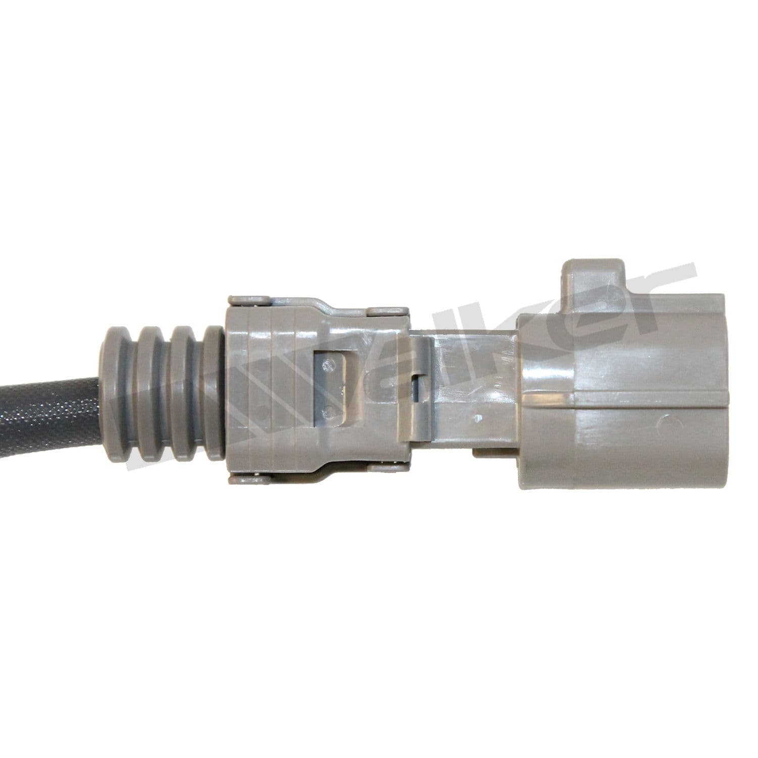 226-350-341037 - Image 3