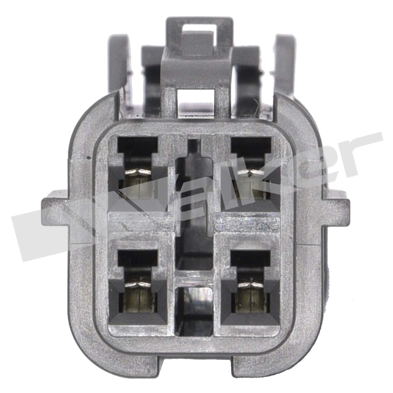 226-250-241040 - Image 4