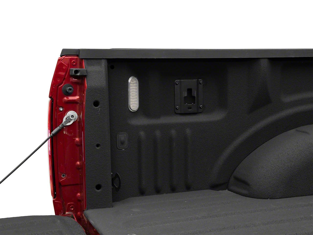 8954-T556095 - Image 2