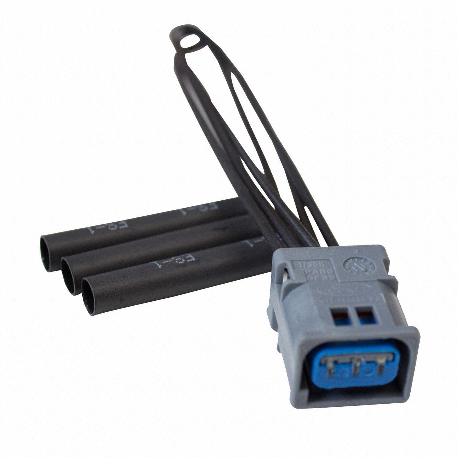 317-WPT-1205 - Image 2