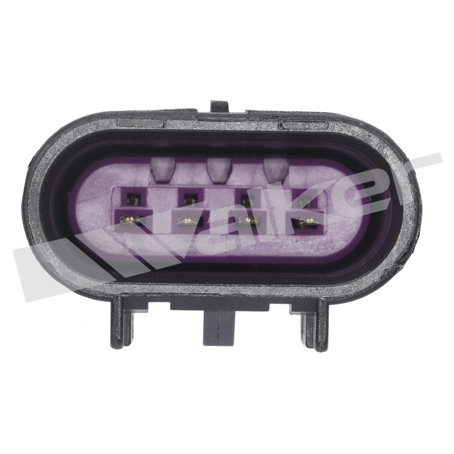 226-250-24739 - Image 2