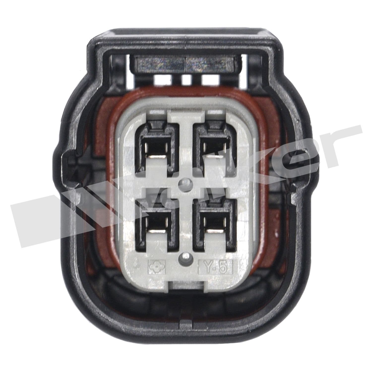 226-250-24856 - Image 4