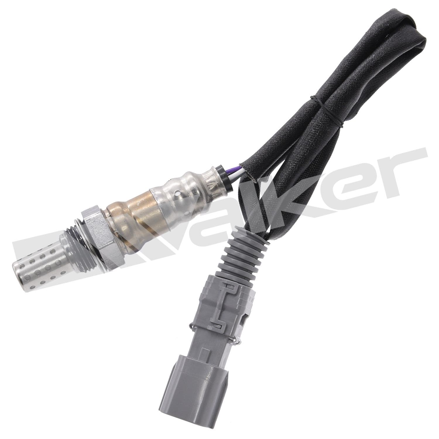 226-250-241261 - Image 1