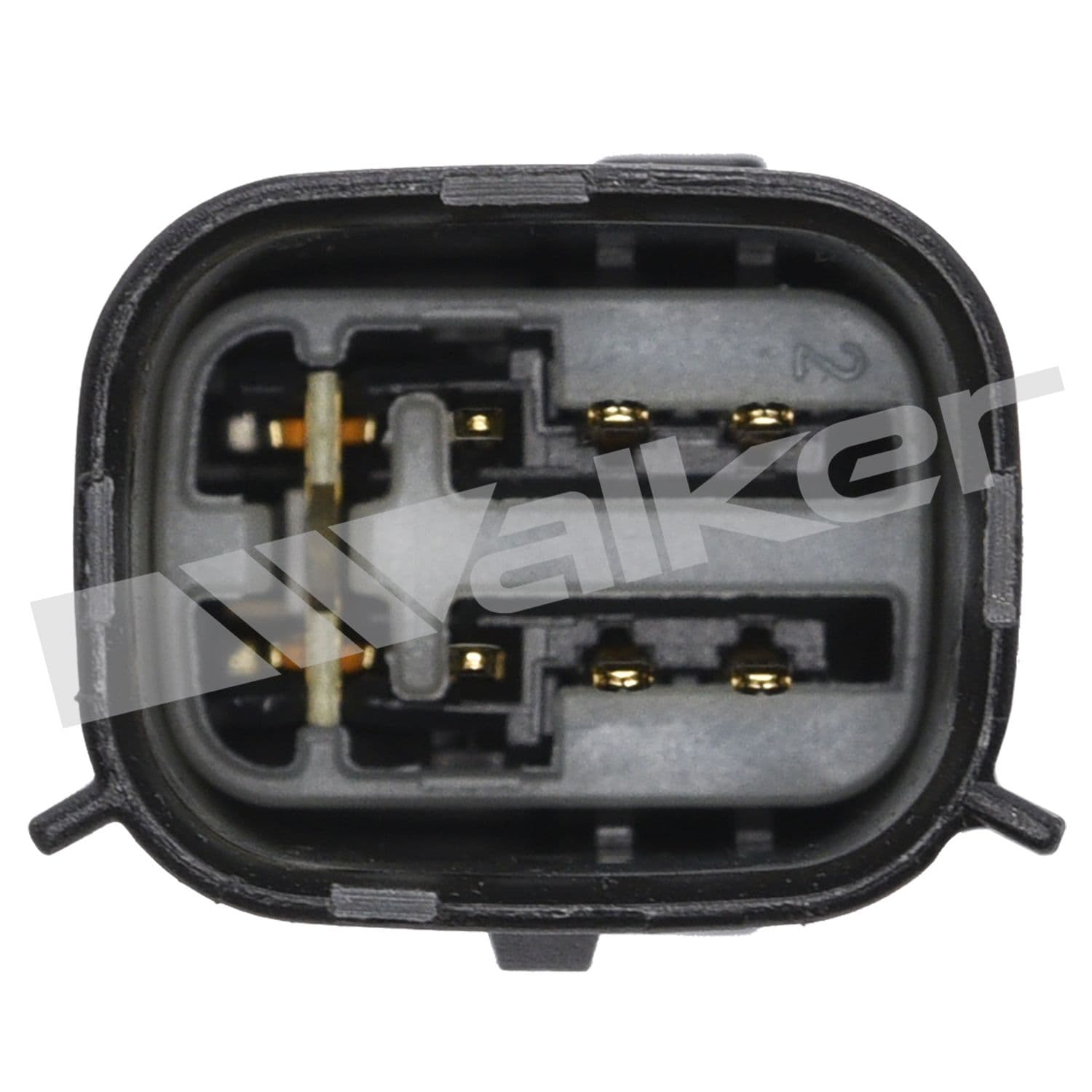 226-250-25145 - Image 3