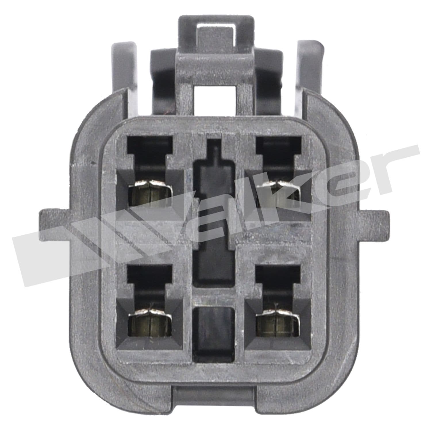 226-250-241224 - Image 3