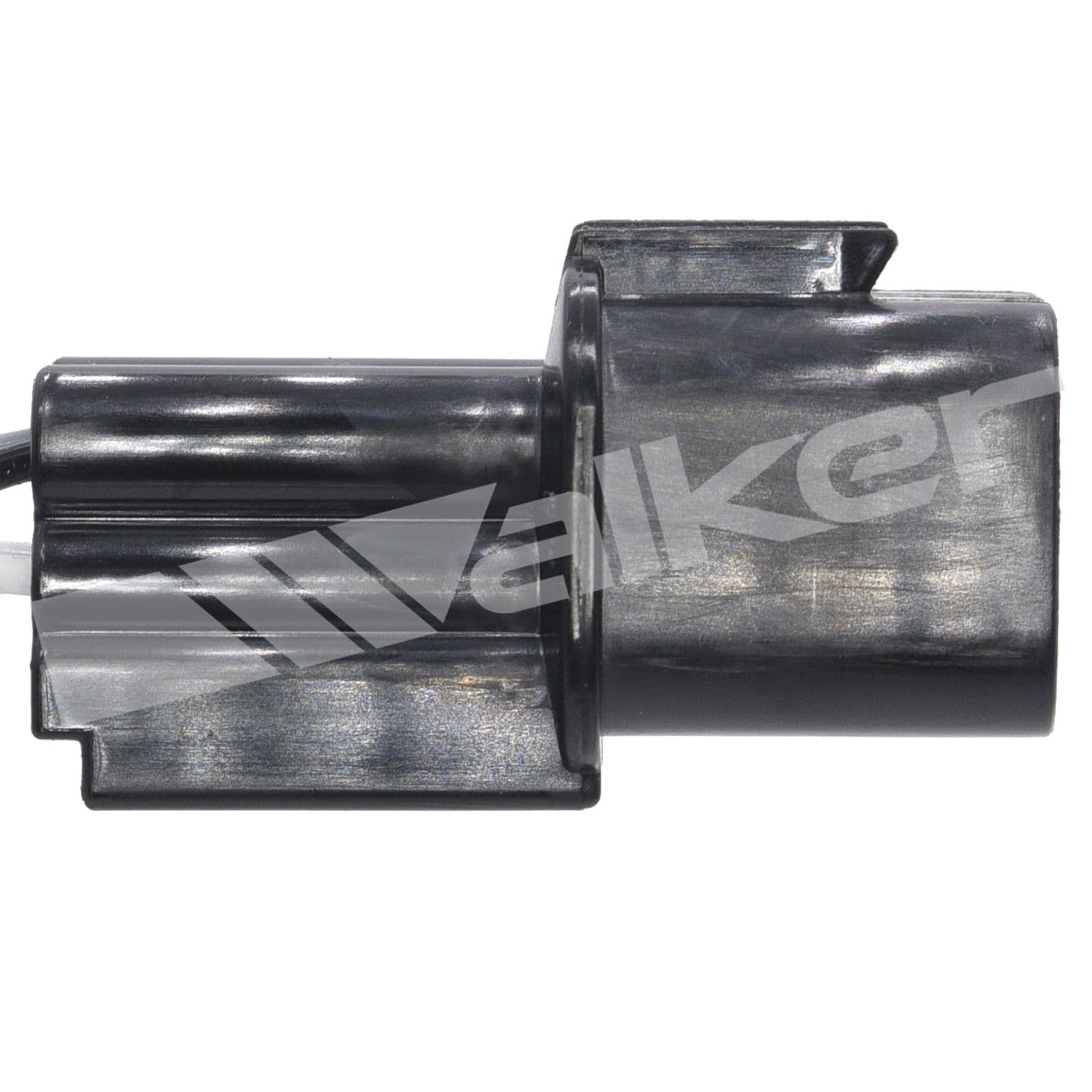 226-250-24909 - Image 3