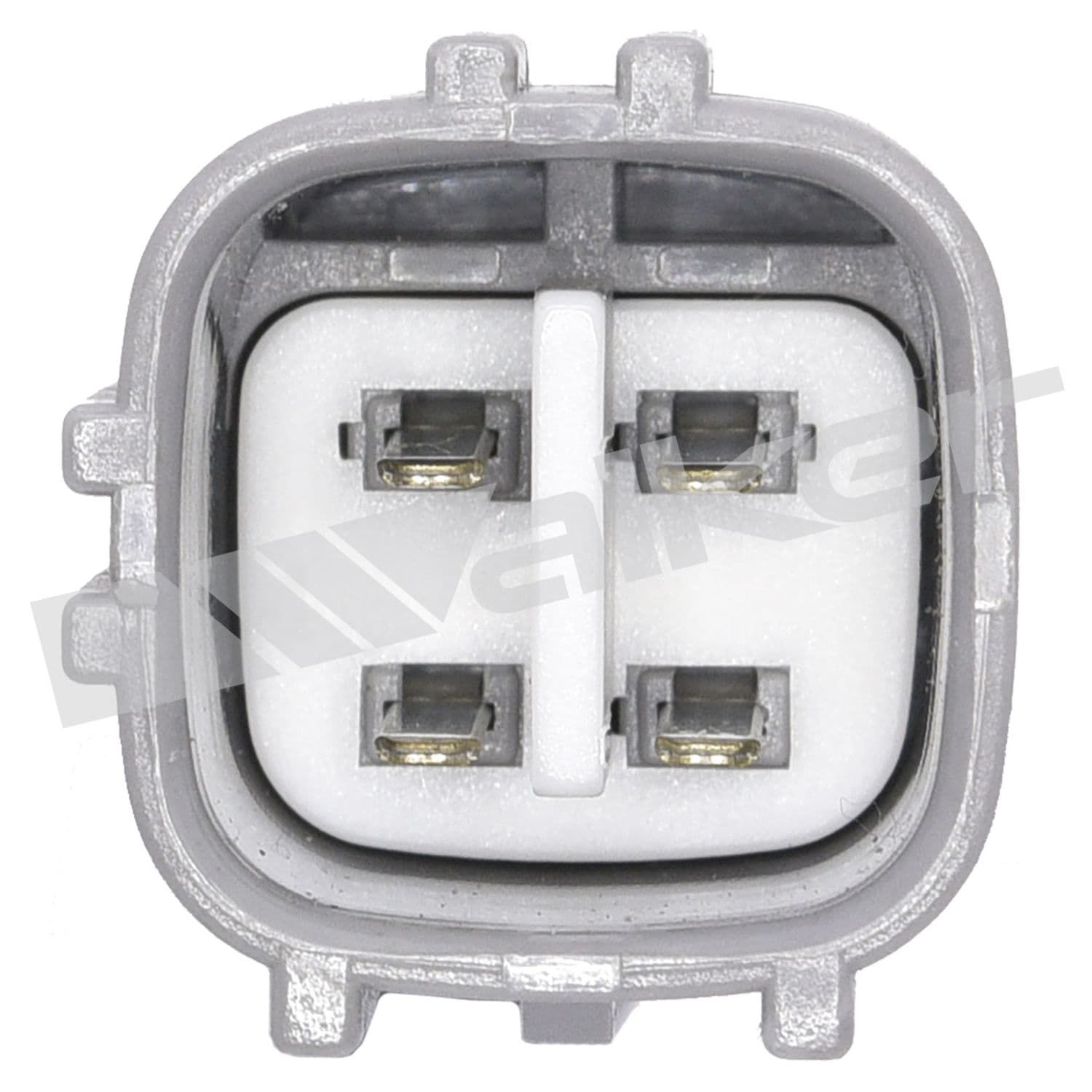 226-250-24298 - Image 2