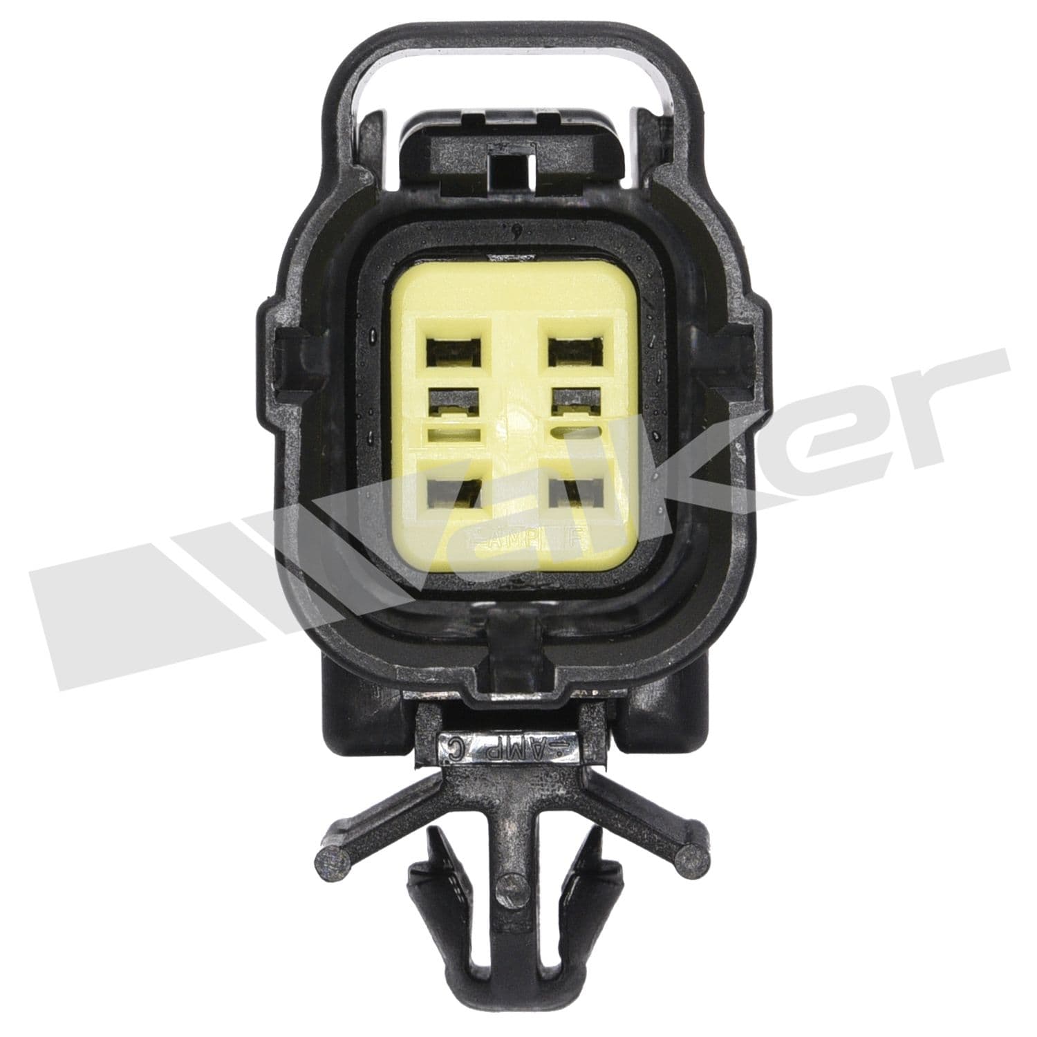 226-250-24364 - Image 3