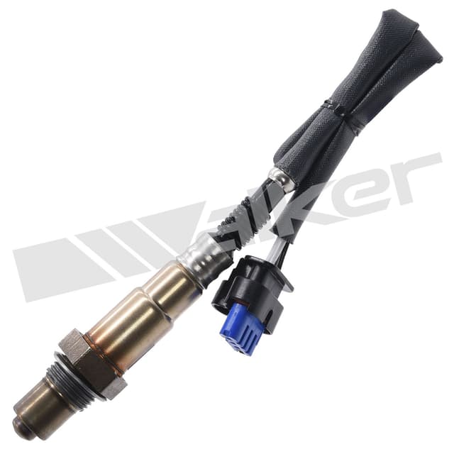 category-226-350-341081