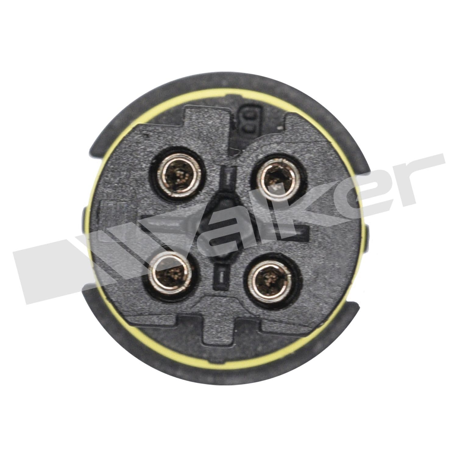 226-250-24465 - Image 4