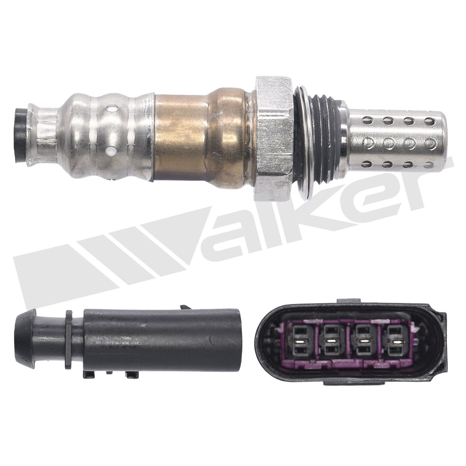 226-250-24689 - Image 2