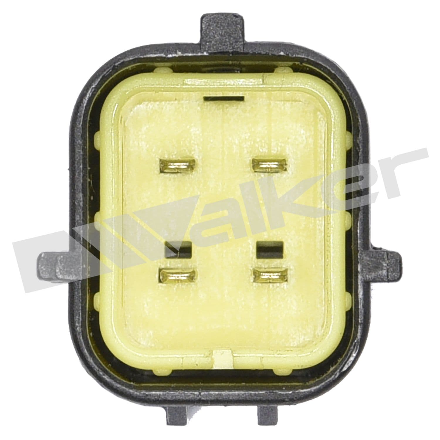 226-250-24474 - Image 2