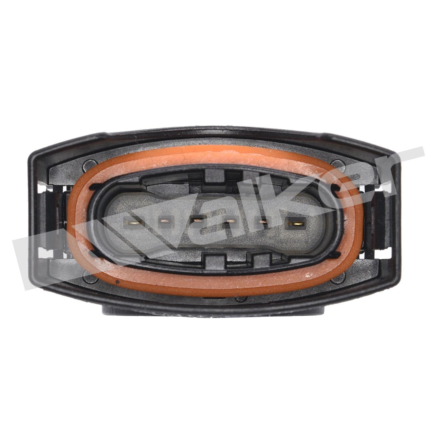 226-250-25010 - Image 2