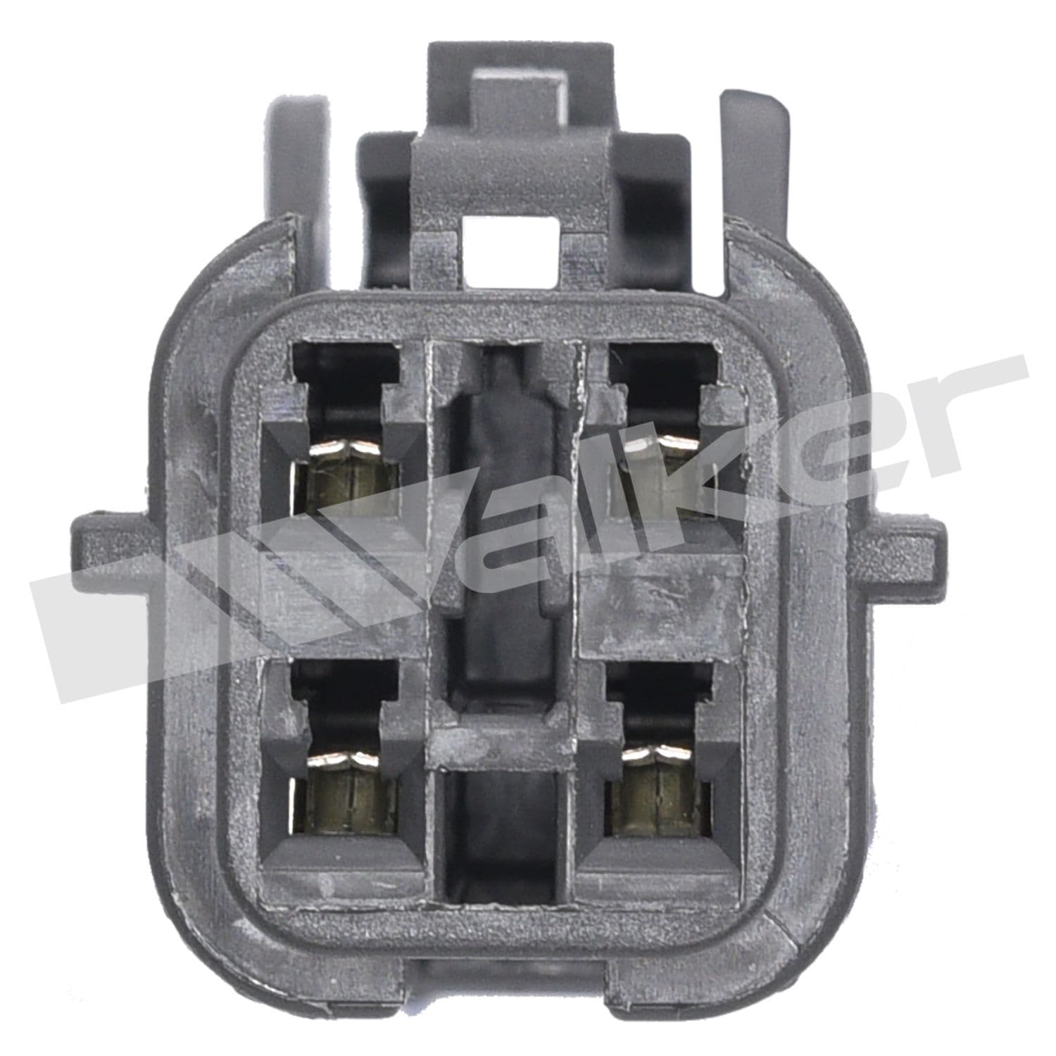 226-350-341066 - Image 4