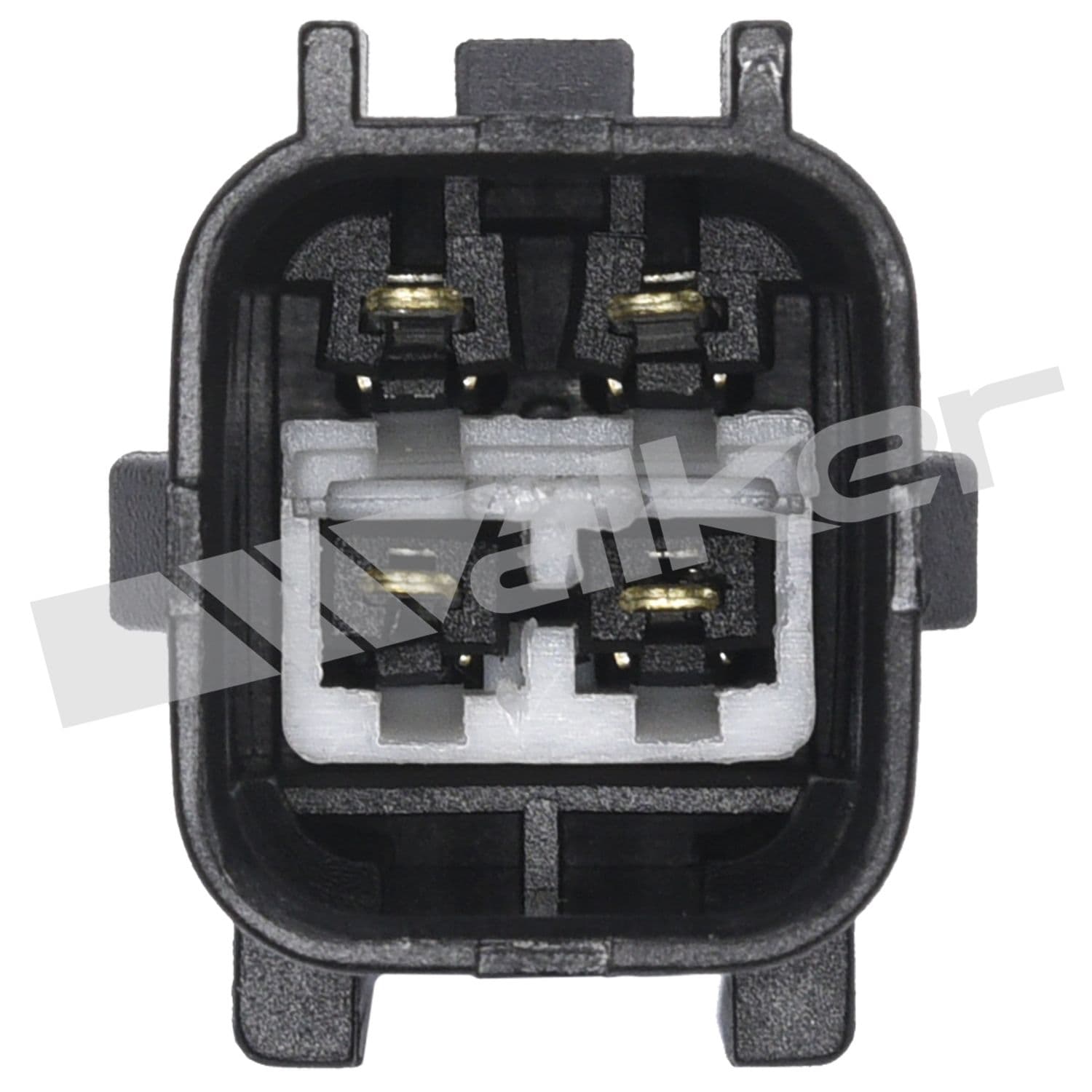 226-250-24687 - Image 3