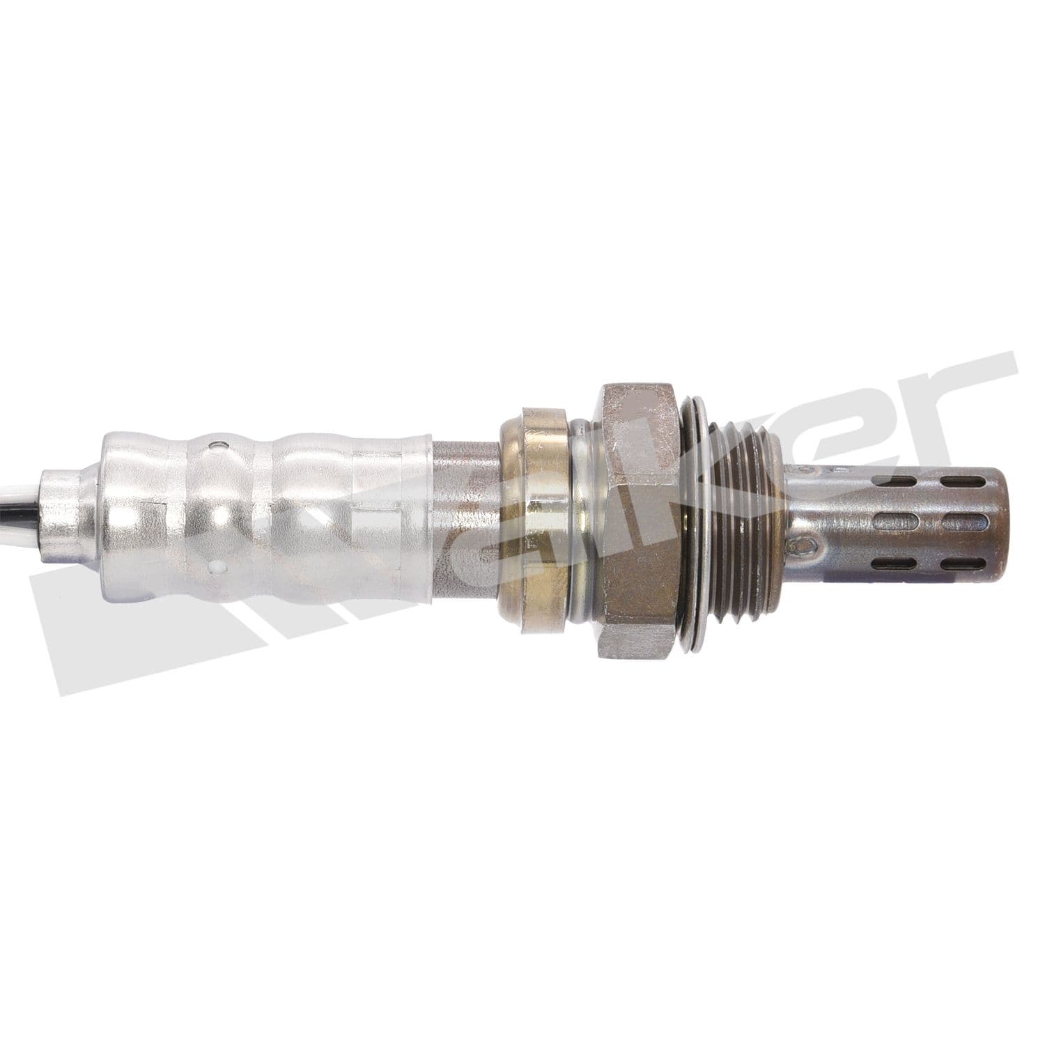 226-250-24284 - Image 3