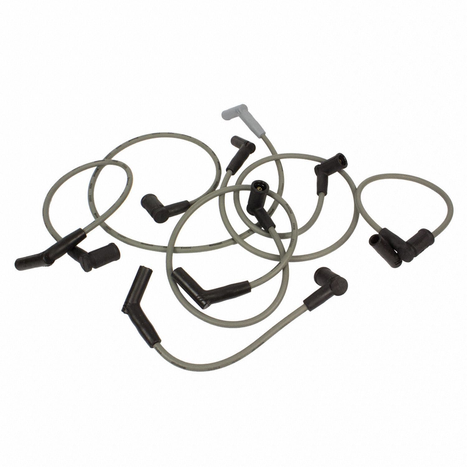 317-WR-6079 - Image 3