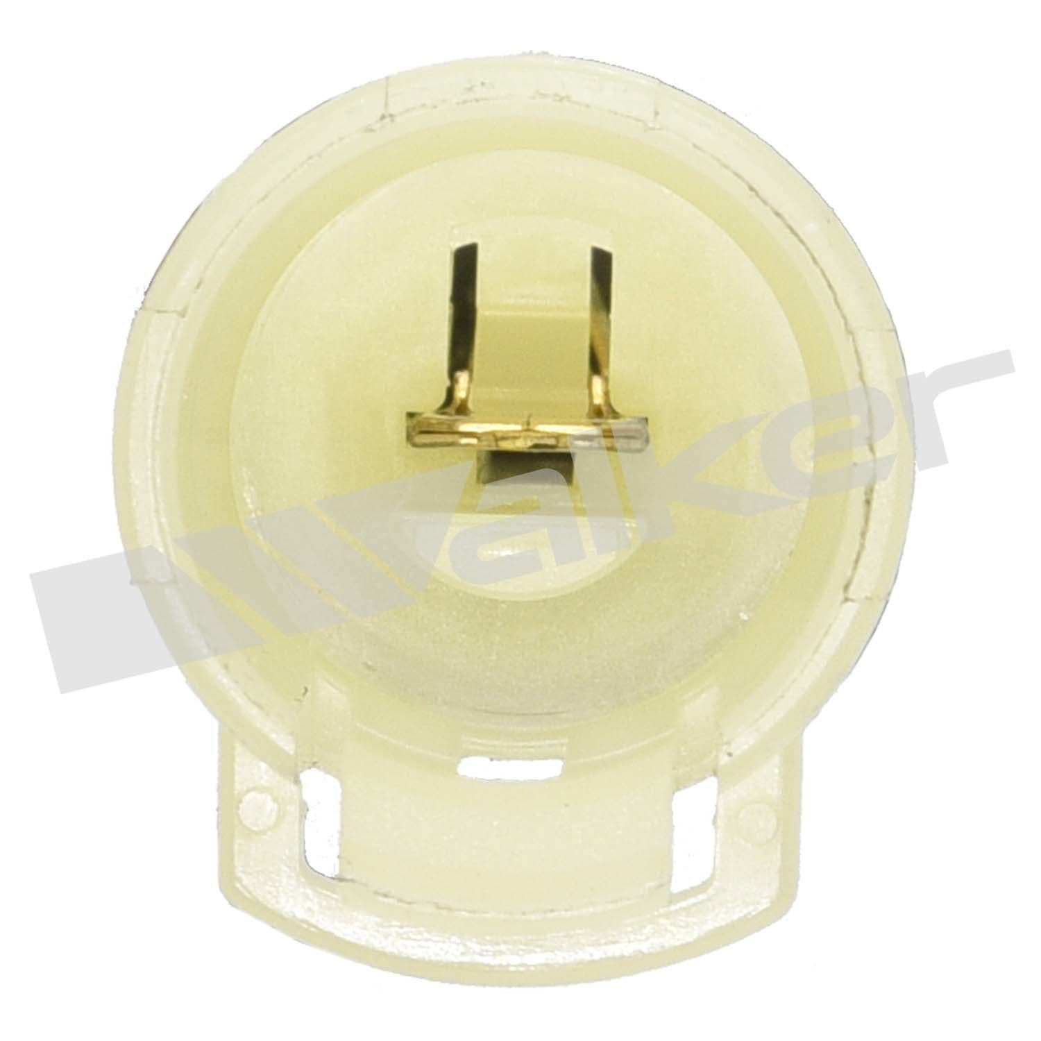 226-250-21056 - Image 4