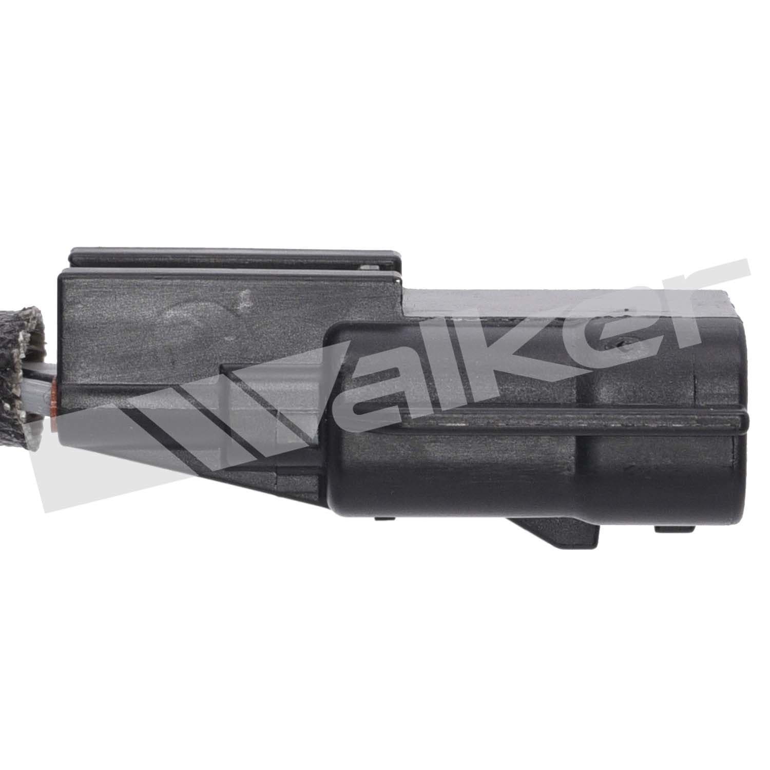 226-250-241105 - Image 2