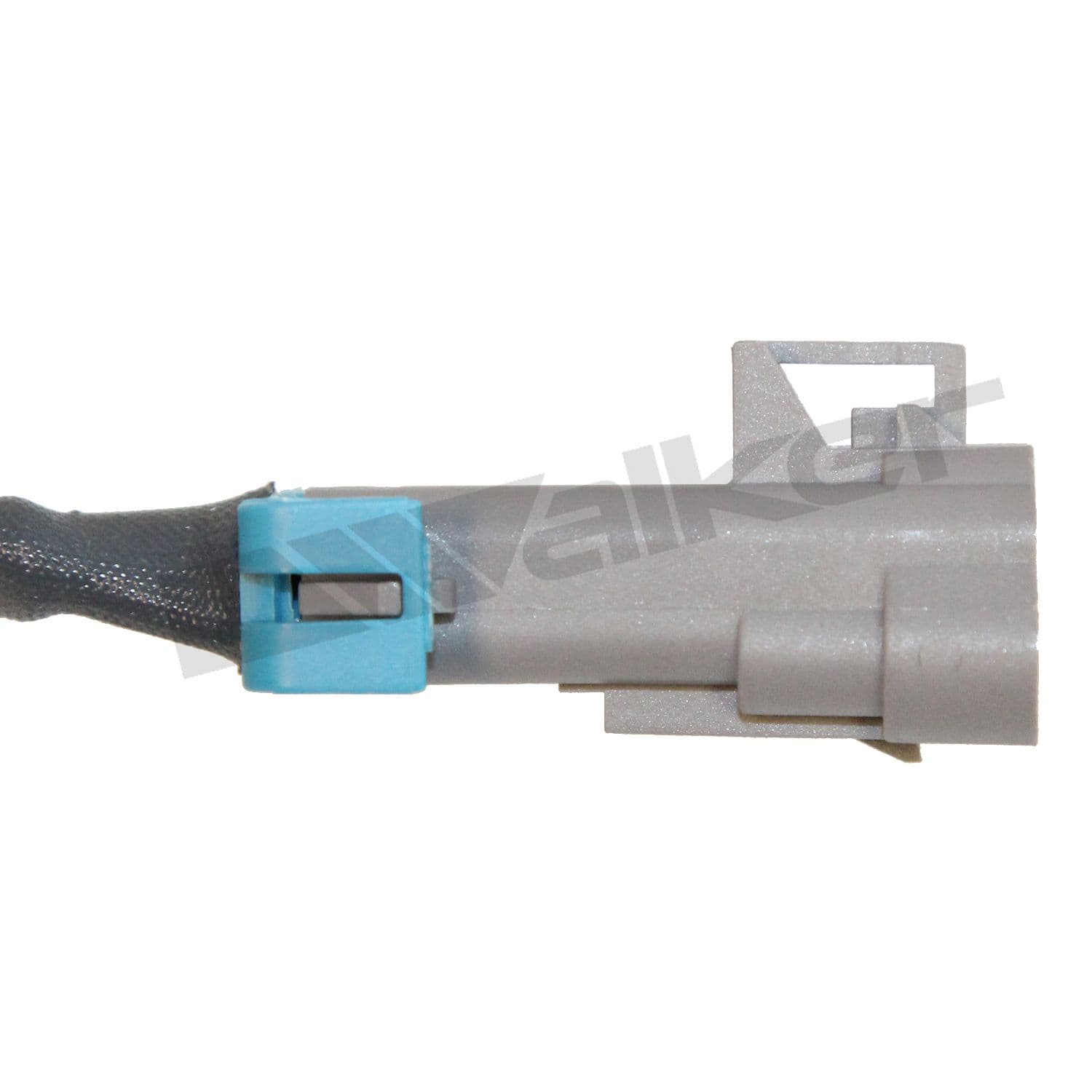 226-350-341047 - Image 3