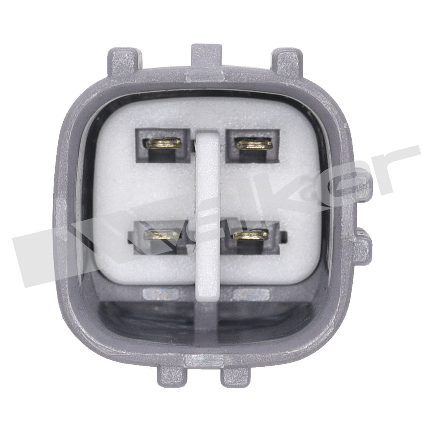 226-250-241281 - Image 4