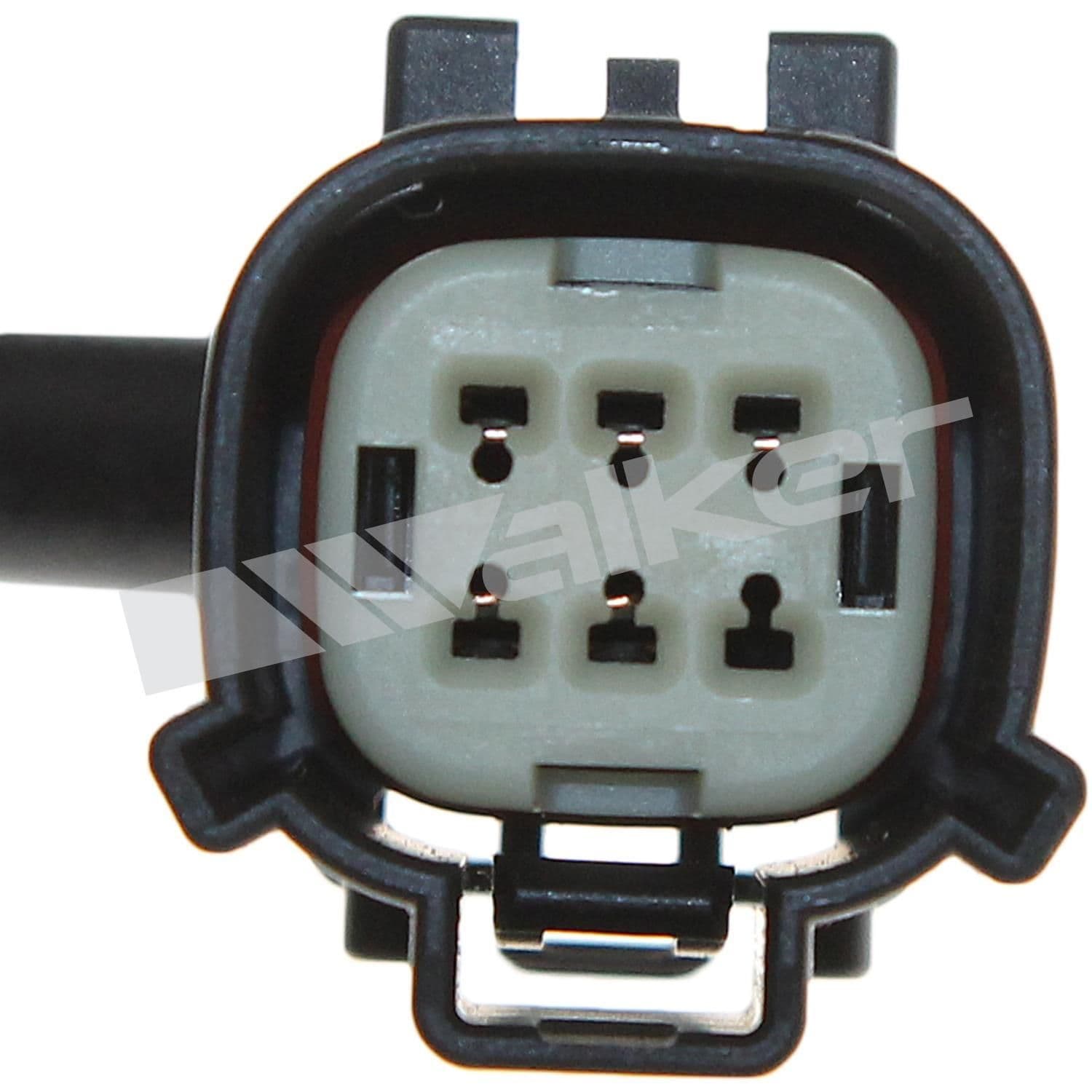 226-250-25119 - Image 3