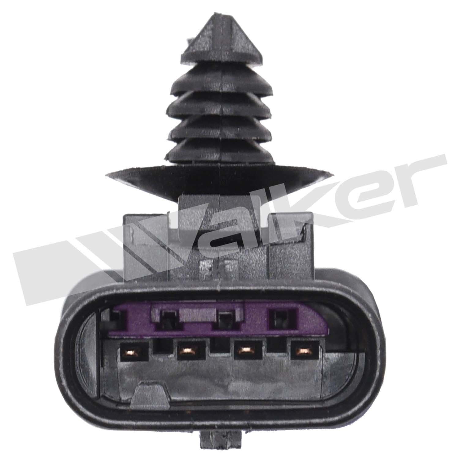 226-250-241302 - Image 2