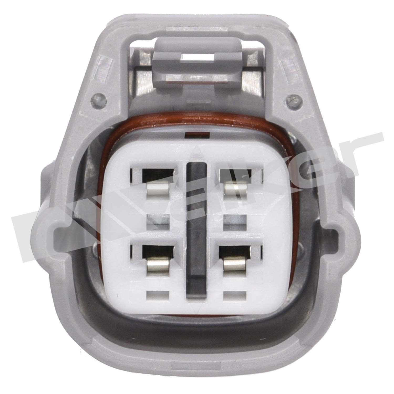 226-250-241074 - Image 2