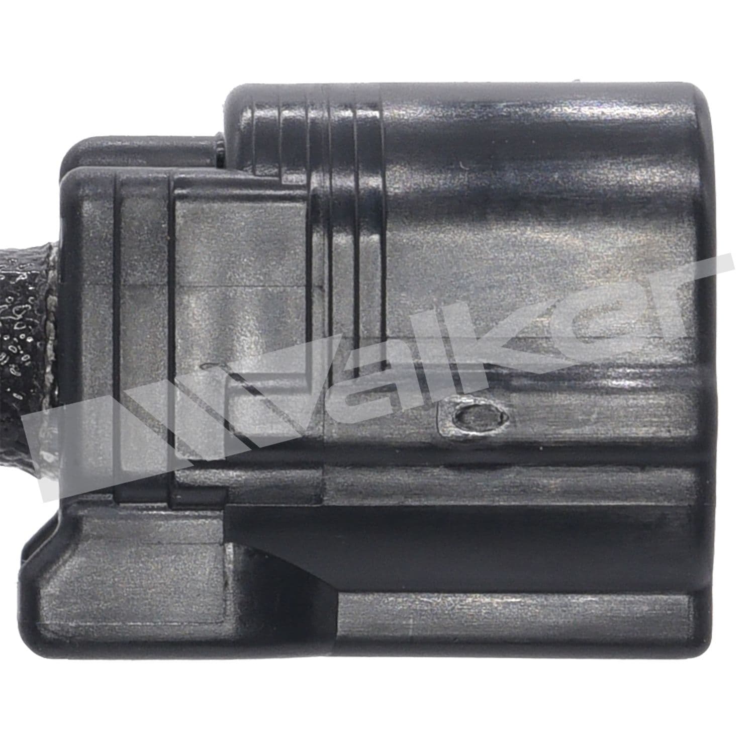 226-250-24917 - Image 3