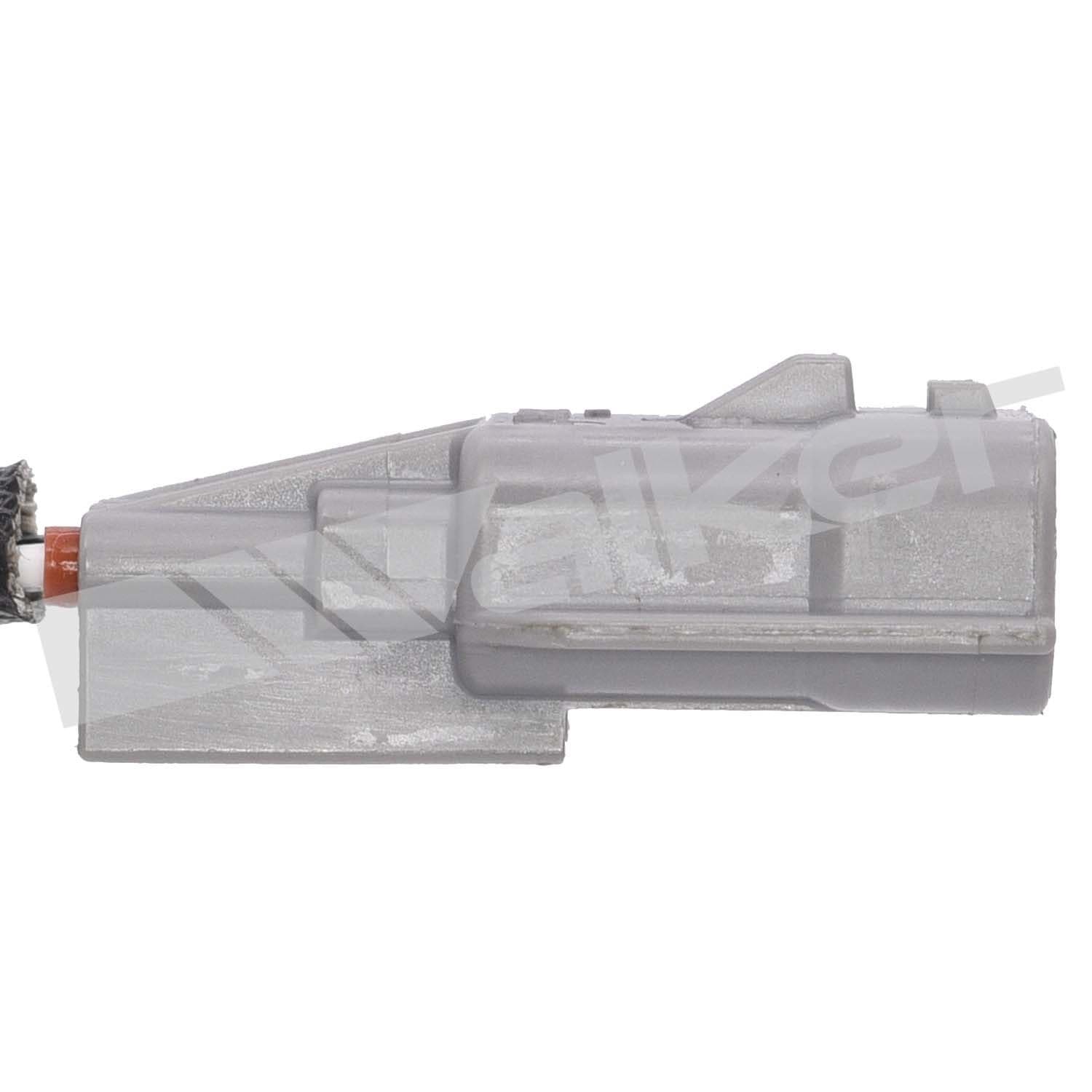 226-250-241107 - Image 4