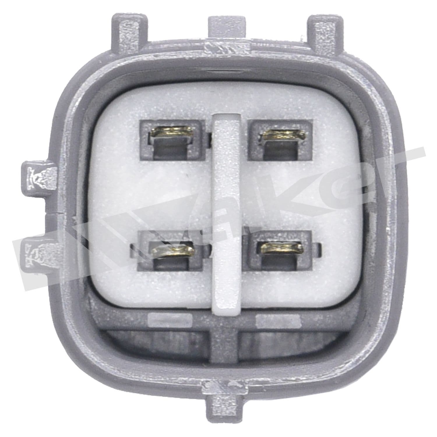 226-250-54073 - Image 2