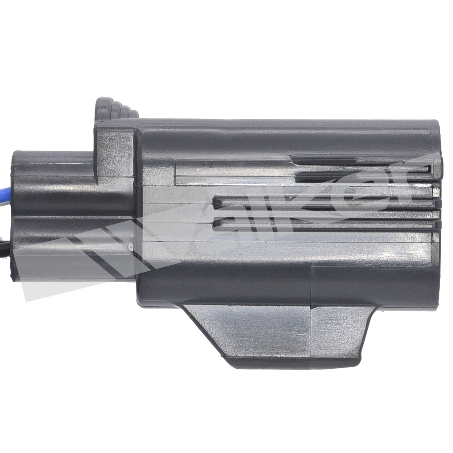 226-250-24455 - Image 2