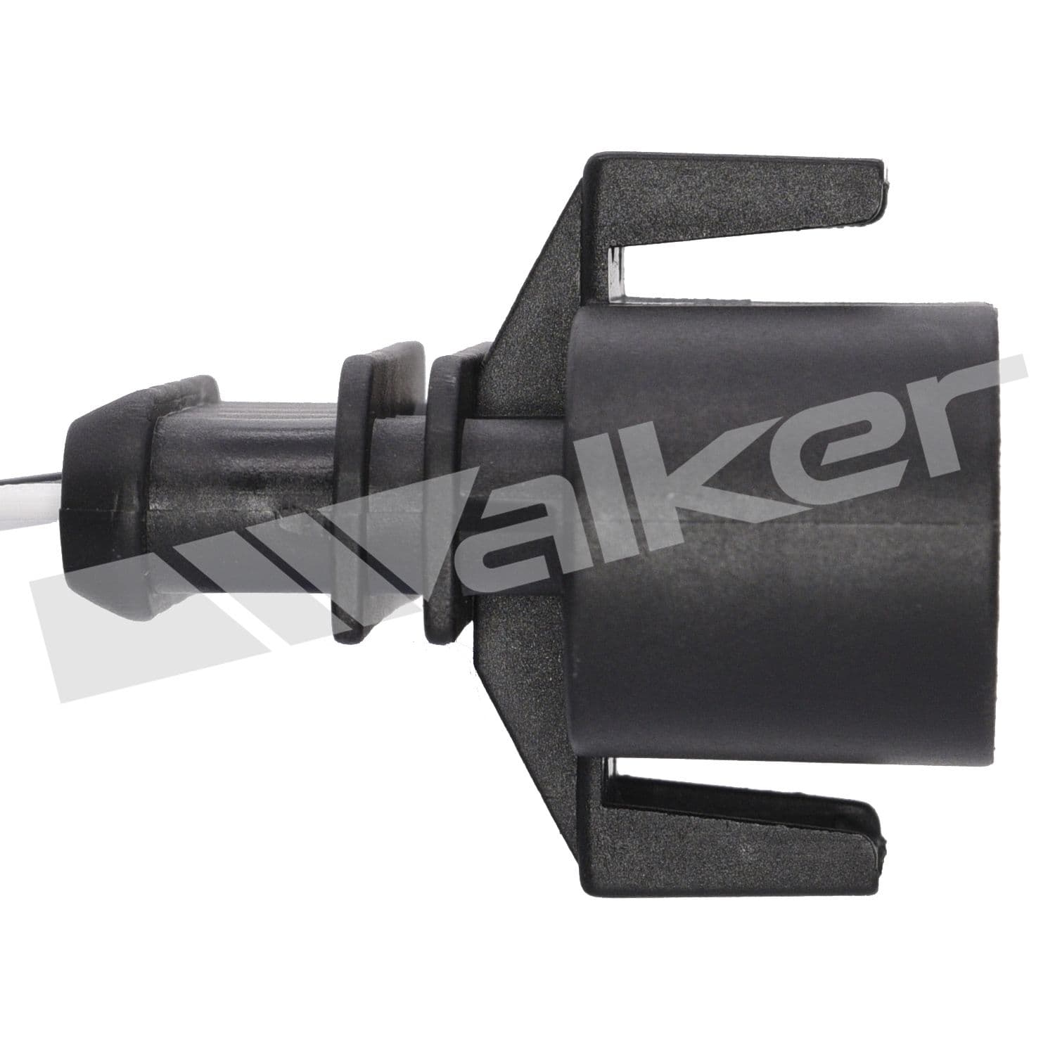 226-250-24174 - Image 3