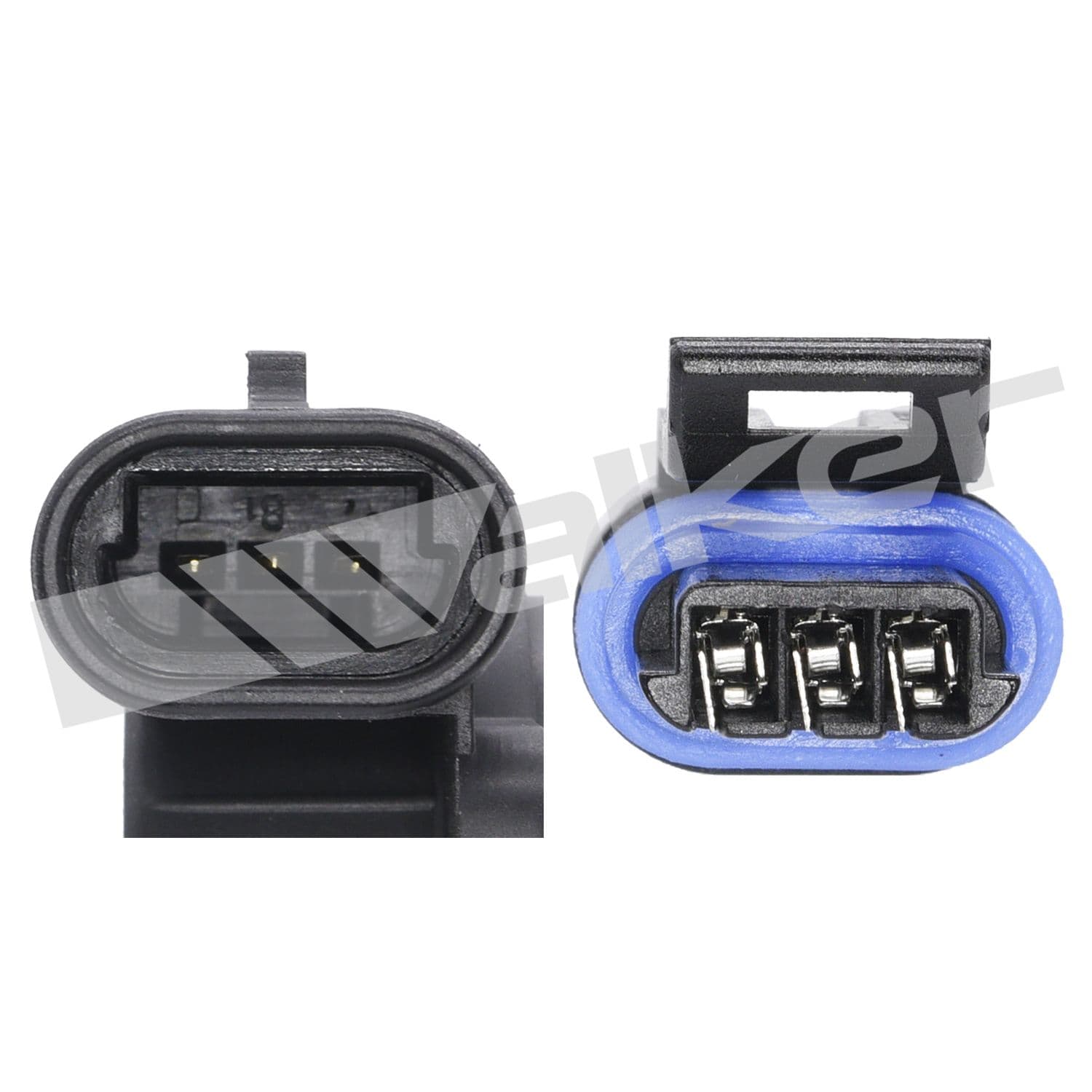 226-200-91351 - Image 4